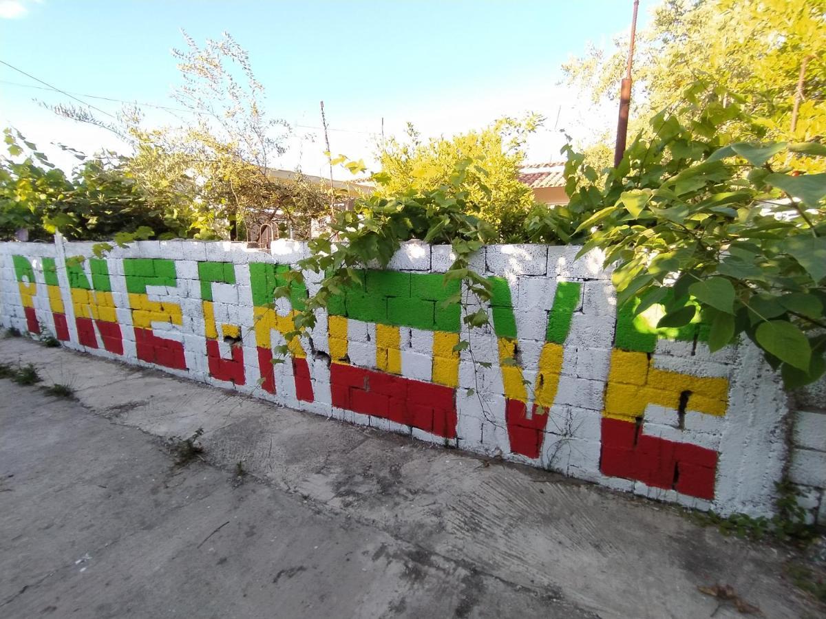 Pinegroove Hostel Vlora Exteriér fotografie