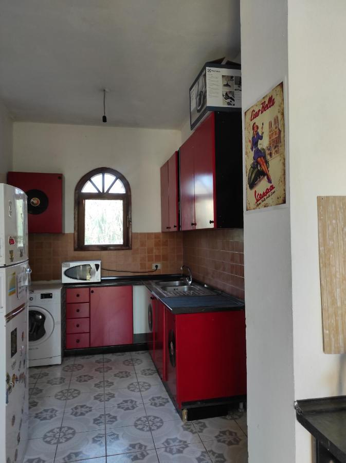 Pinegroove Hostel Vlora Exteriér fotografie