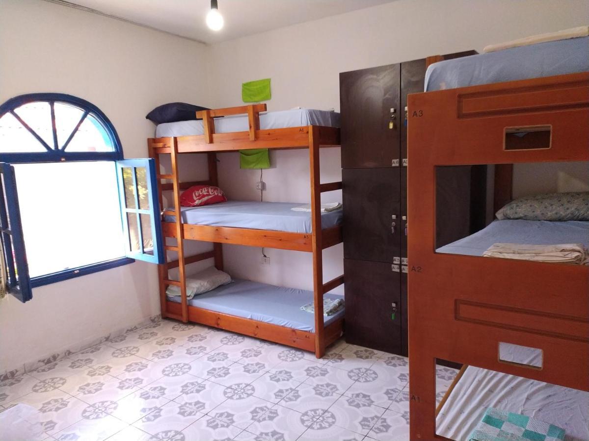 Pinegroove Hostel Vlora Exteriér fotografie